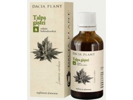Dacia Plant - Tinctura Talpa Gastei 50 ml